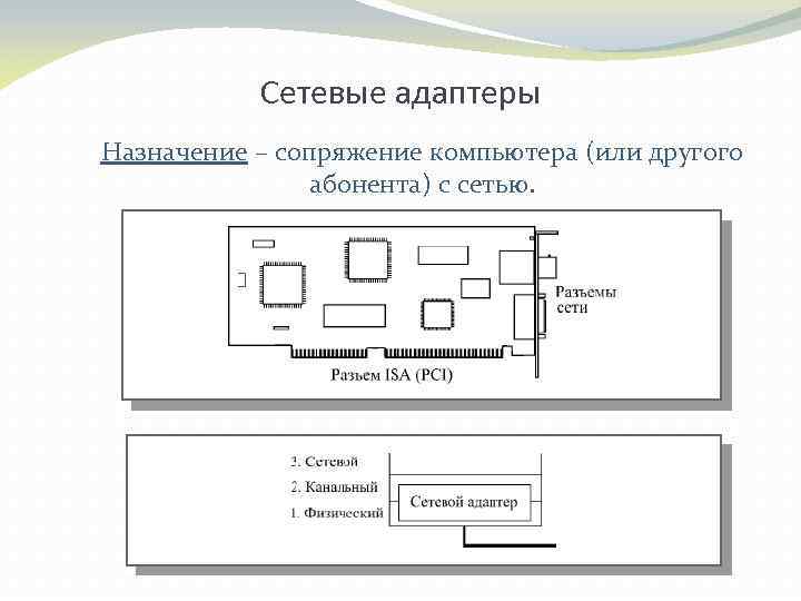 Сетевые адаптеры Назначение – сопряжение компьютера (или другого абонента) с сетью. 