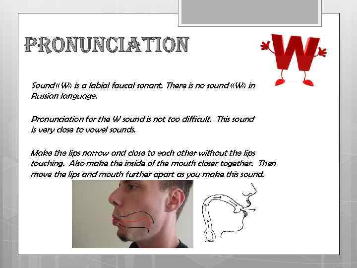 Pronunciation Sound «W» is a labial faucal sonant. There is no sound «W» in