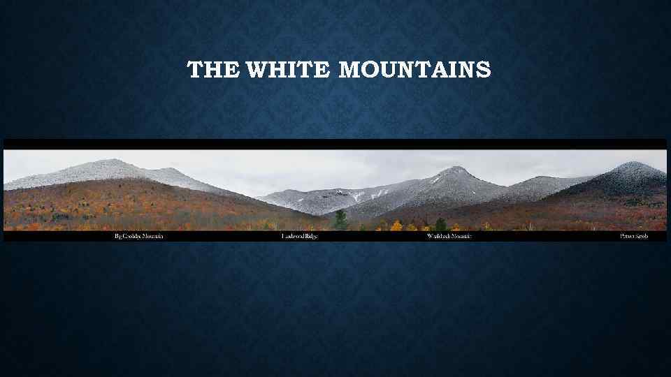 THE WHITE MOUNTAINS 