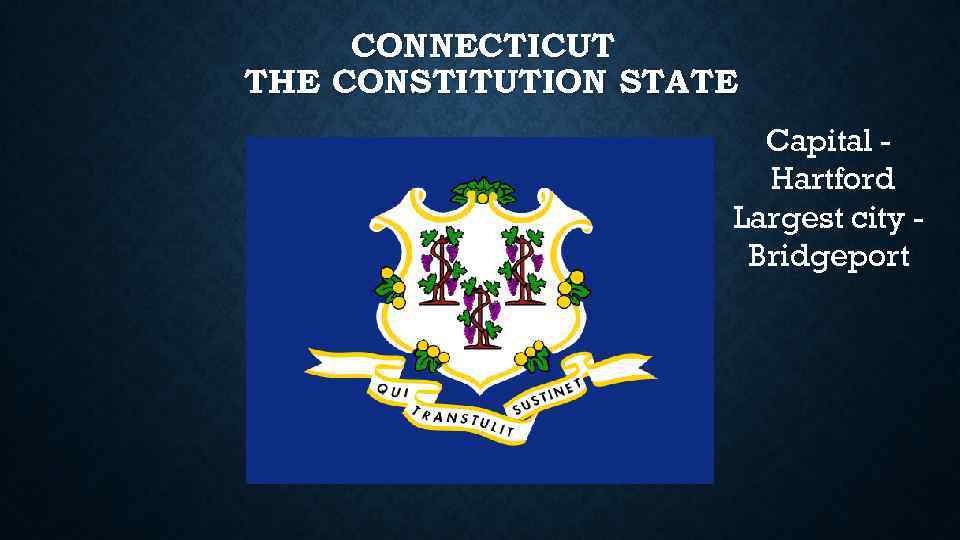 CONNECTICUT THE CONSTITUTION STATE Capital Hartford Largest city Bridgeport 