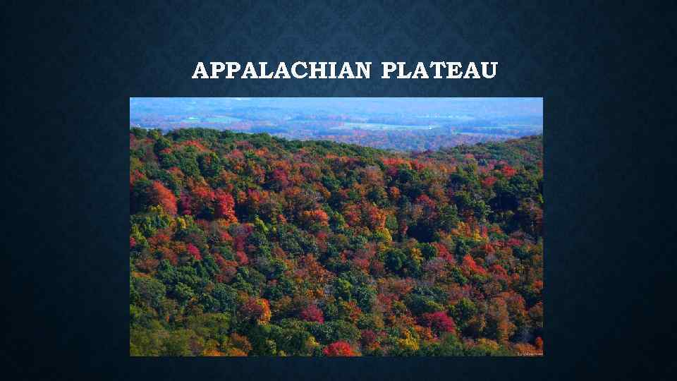 APPALACHIAN PLATEAU 