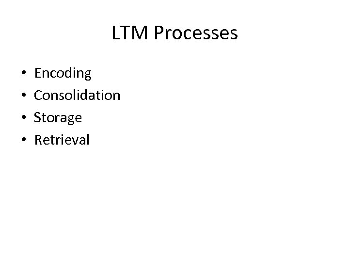 LTM Processes • • Encoding Consolidation Storage Retrieval 