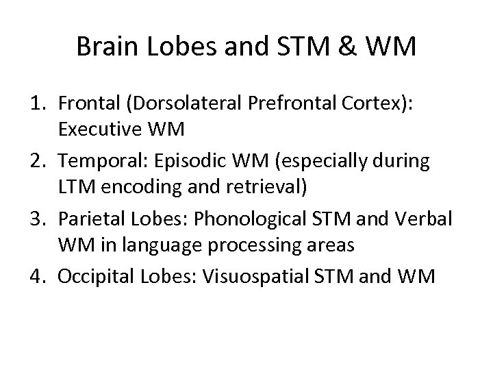 Brain Lobes and STM & WM 1. Frontal (Dorsolateral Prefrontal Cortex): Executive WM 2.