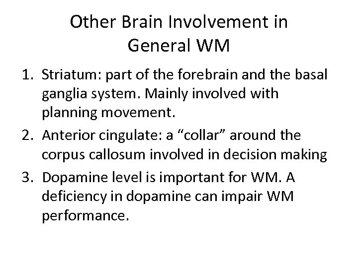 Other Brain Involvement in General WM 1. Striatum: part of the forebrain and the