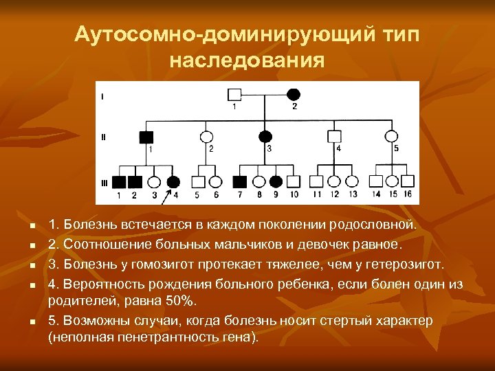 Аутосомно-доминирующий тип наследования n n n 1. Болезнь встечается в каждом поколении родословной. 2.