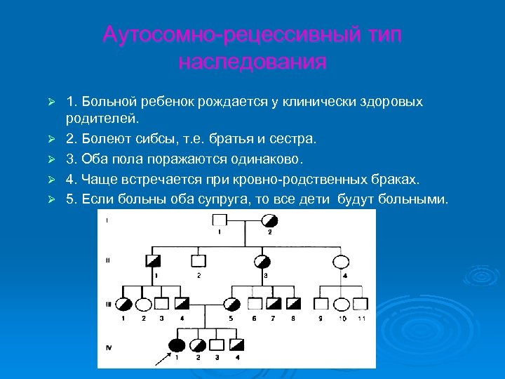 Аутосомно-рецессивный тип наследования Ø Ø Ø 1. Больной ребенок рождается у клинически здоровых родителей.