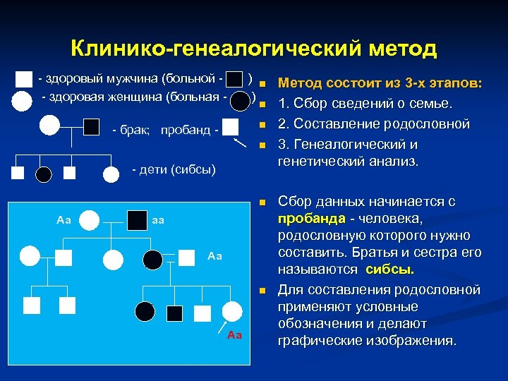 Клинико-генеалогический метод - здоровый мужчина (больной - здоровая женщина (больная - ) n Метод