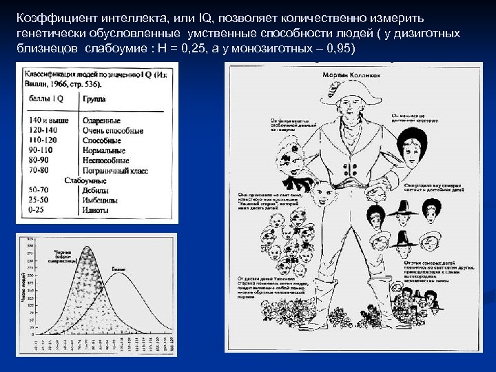 Коэффициент интеллекта, или IQ, позволяет количественно измерить генетически обусловленные умственные способности людей ( у