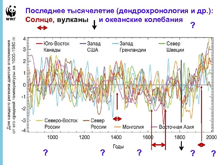 Последнее тысячелетие (дендрохронология и др. ): Солнце, вулканы и океанские колебания ? ? ?