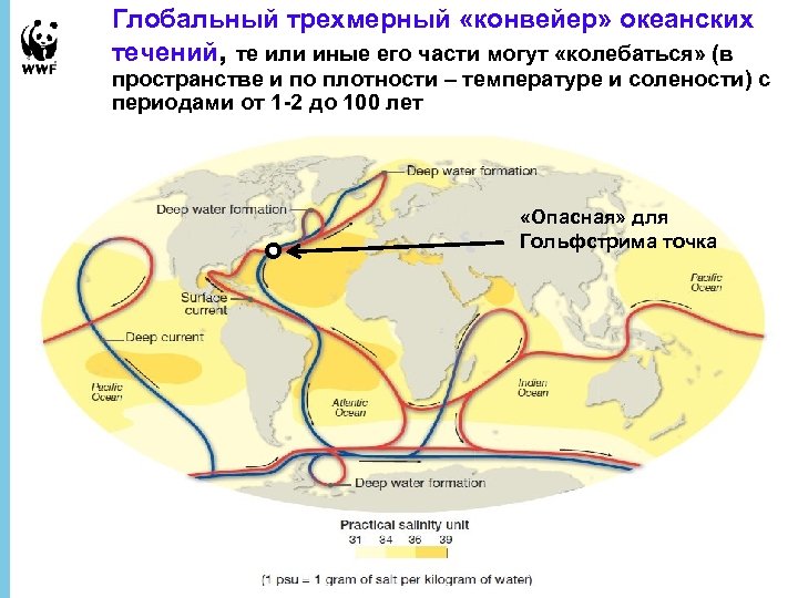 Глобальный трехмерный «конвейер» океанских течений, те или иные его части могут «колебаться» (в пространстве