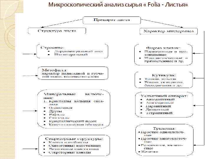 Микроскопический анализ сырья « Folia - Листья» 