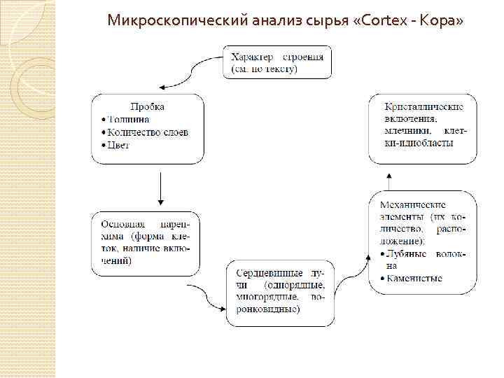 Микроскопический анализ сырья «Cortex - Кора» 