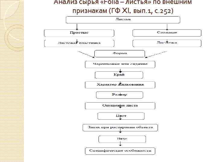 Анализ сырья «Folia – листья» по внешним признакам (ГФ XI, вып. 1, с. 252)