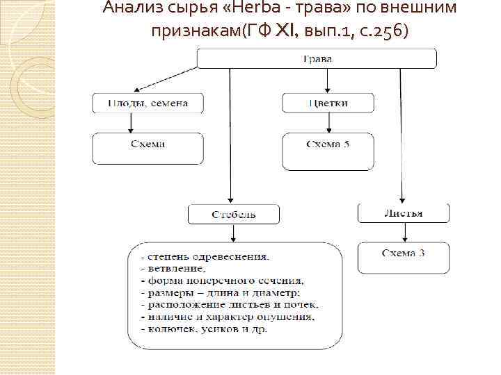 Схема товароведческого анализа