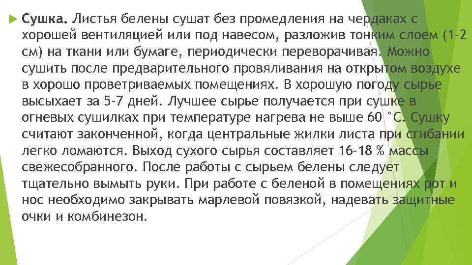  Сушка. Листья белены сушат без промедления на чердаках с хорошей вентиляцией или под