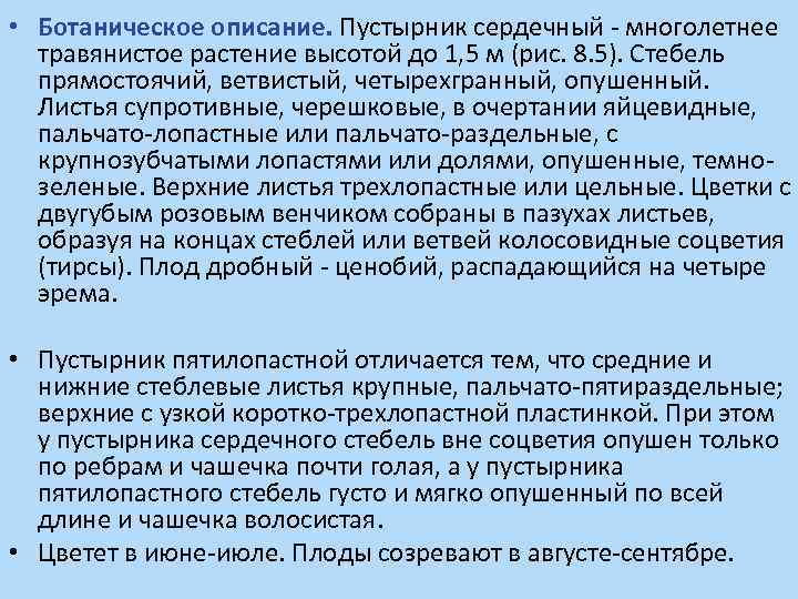  • Ботаническое описание. Пустырник сердечный - многолетнее травянистое растение высотой до 1, 5