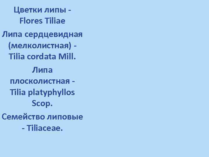 Цветки липы Flores Tiliae Липа сердцевидная (мелколистная) Tilia cordata Mill. Липа плосколистная Tilia platyphyllos