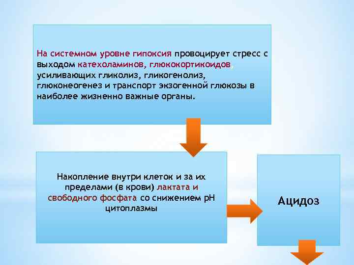 На системном уровне гипоксия провоцирует стресс с выходом катехоламинов, глюкокортикоидов, усиливающих гликолиз, гликогенолиз, глюконеогенез