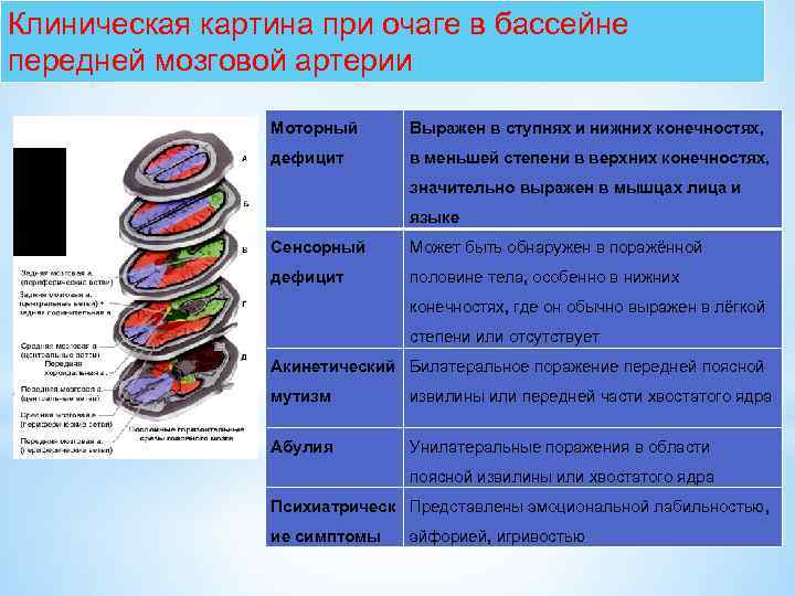 Клиническая картина при очаге в бассейне передней мозговой артерии Моторный Выражен в ступнях и