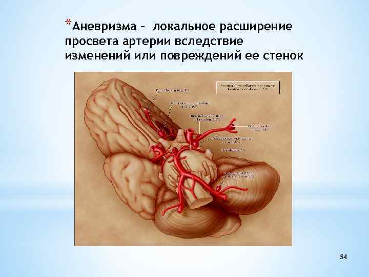 *Аневризма – локальное расширение просвета артерии вследствие изменений или повреждений ее стенок 54 