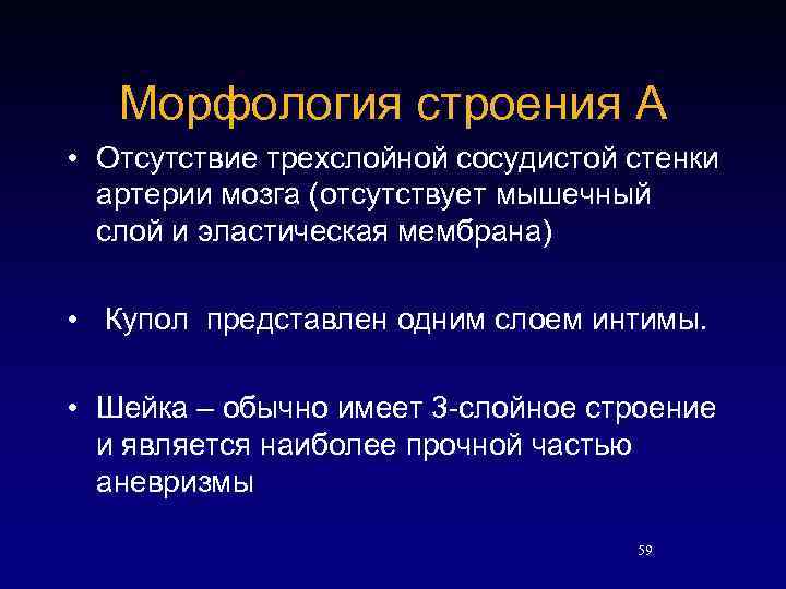 Морфология строения А • Отсутствие трехслойной сосудистой стенки артерии мозга (отсутствует мышечный слой и