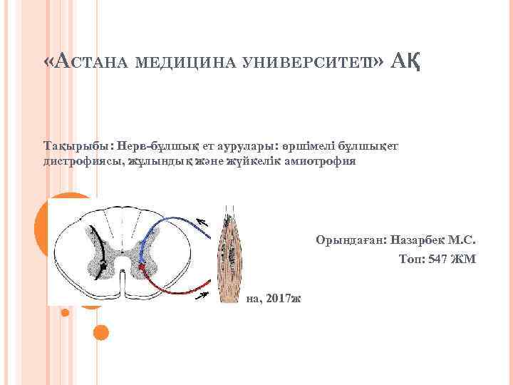  «АСТАНА МЕДИЦИНА УНИВЕРСИТЕТІ» АҚ Тақырыбы: Нерв-бұлшық ет аурулары: өршімелі бұлшықет дистрофиясы, жұлындық және