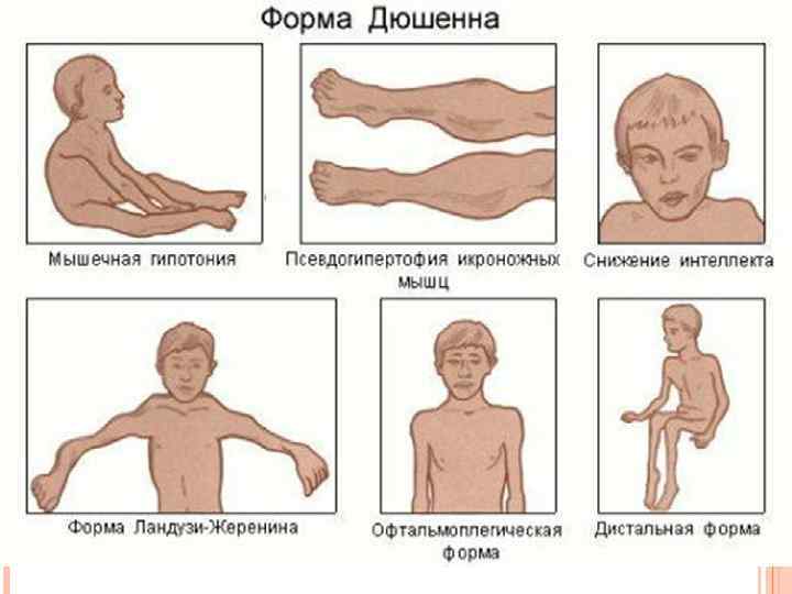 Автор презентации | Nycomed | Октябрь 2009 | Только для внутреннего использования Slide 17