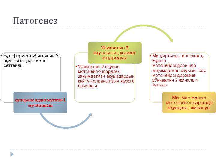 Патогенез • Бұл фермент убиквилин 2 ақуызының қызметін реттейді. супероксиддисмутаза-1 мутациясы Убиквилин 2 ақуызының