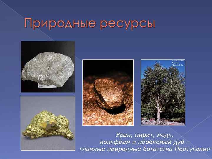 Природные ресурсы Уран, пирит, медь, вольфрам и пробковый дуб – главные природные богатства Португалии