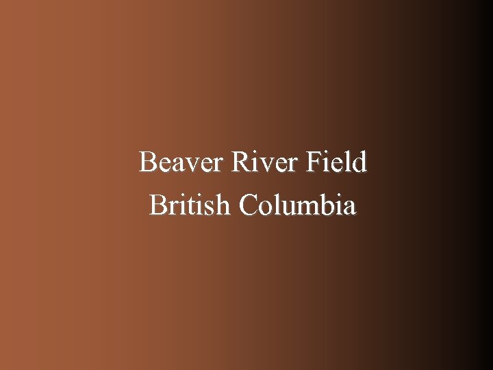 Beaver River Field British Columbia 