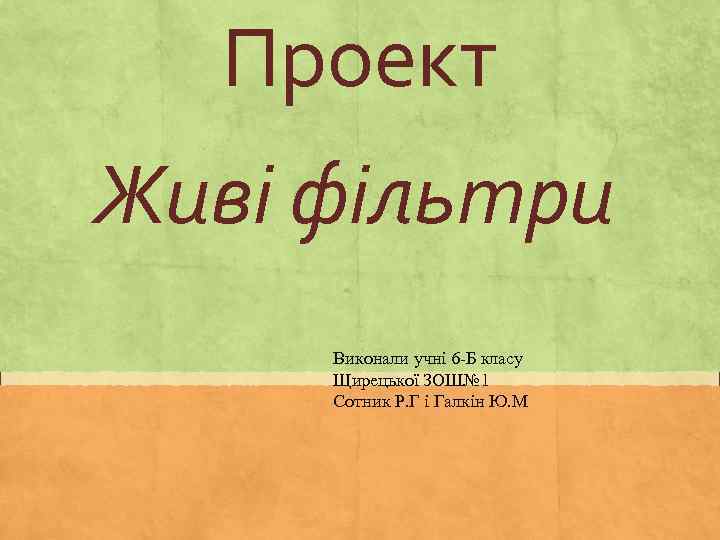 Проект Живі фільтри Виконали учні 6 -Б класу Щирецької ЗОШ№ 1 Сотник Р. Г