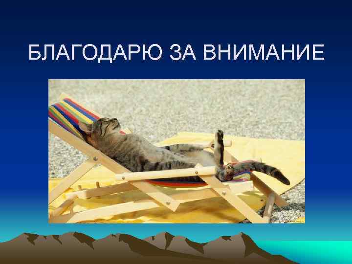 БЛАГОДАРЮ ЗА ВНИМАНИЕ 