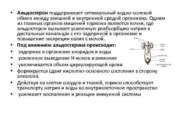 Действие и роль гормонов. Роль альдостерона в регуляции водно-солевого обмена. Влияние альдостерона на водно-солевой обмен. Альдостерон влияние на обмен веществ. Водно солевой обмен почки.