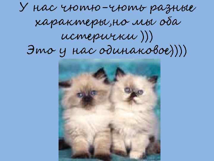 У нас чютю-чють разные характеры, но мы оба истерички ))) Это у нас одинаковое))))