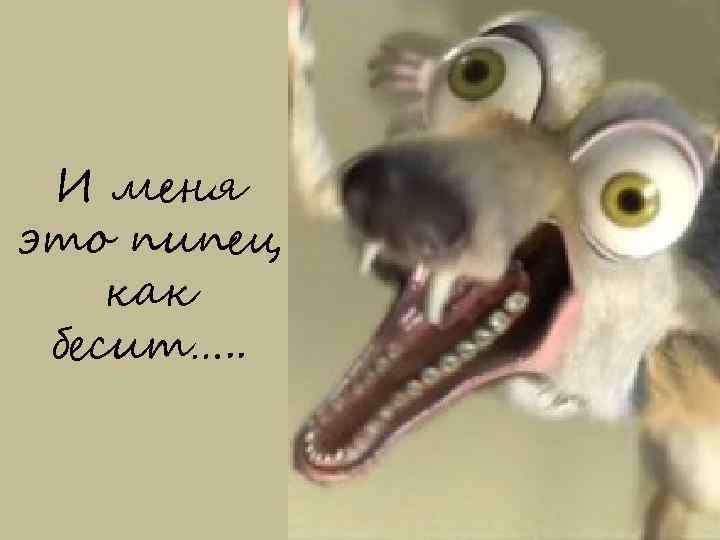 И меня это пипец как бесит…. . 