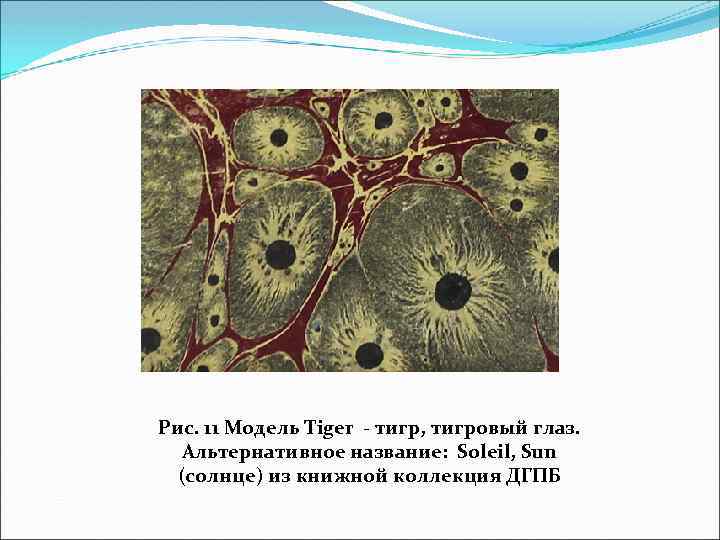 Рис. 11 Модель Tiger - тигр, тигровый глаз. Альтернативное название: Soleil, Sun (солнце) из