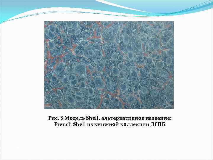Рис. 8 Модель Shell, альтернативное название: French Shell из книжной коллекции ДГПБ 