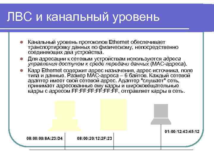 ЛВС и канальный уровень Канальный уровень протоколов Ethernet обеспечивает транспортировку данных по физическому, непосредственно