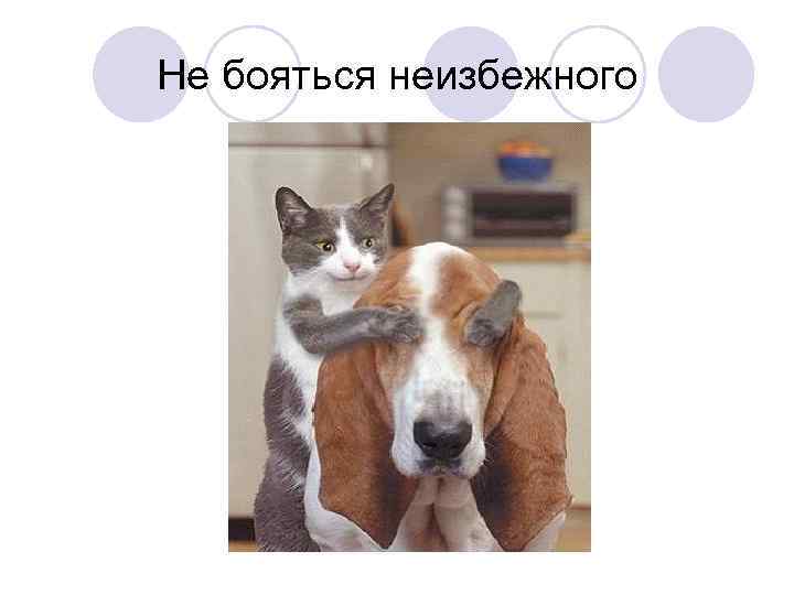 Не бояться неизбежного 