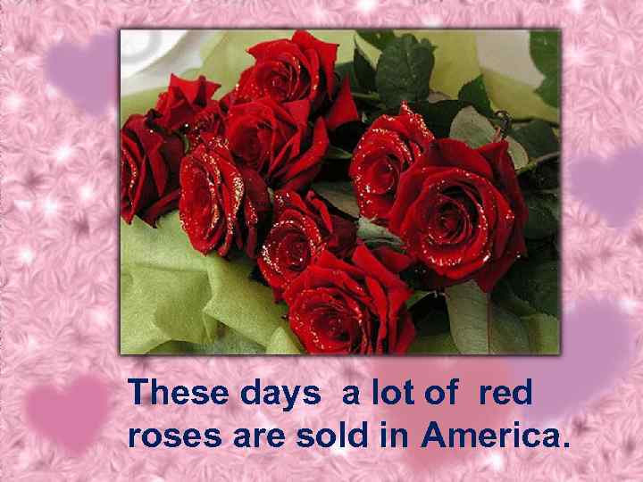 These days a lot of red roses are sold in America. 