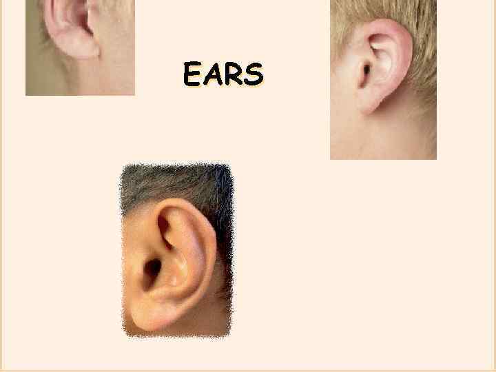 EARS 