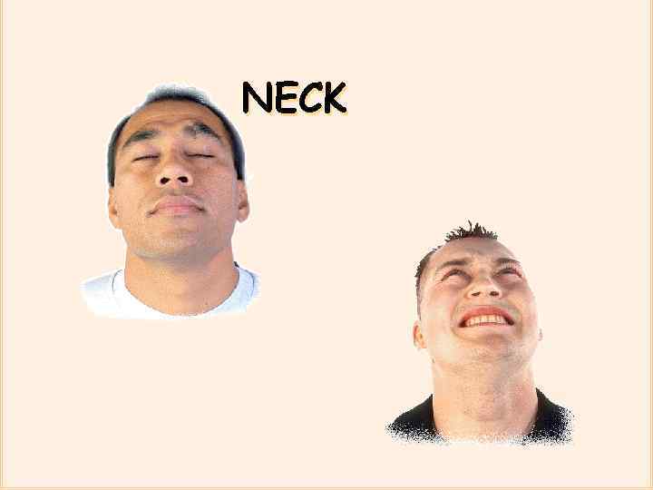 NECK 