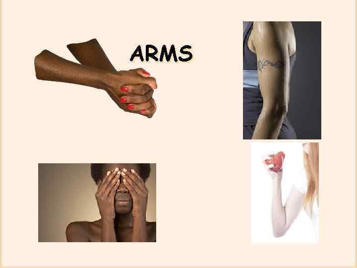 ARMS 