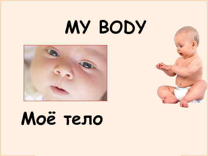 MY BODY Моё тело 