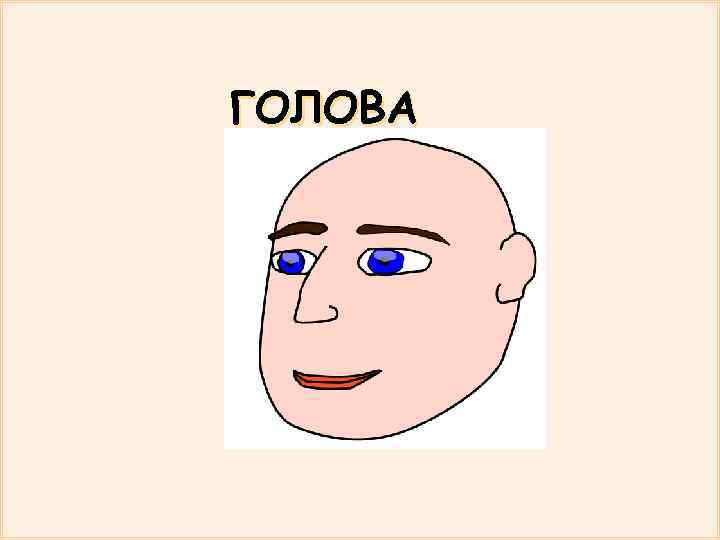 ГОЛОВА 