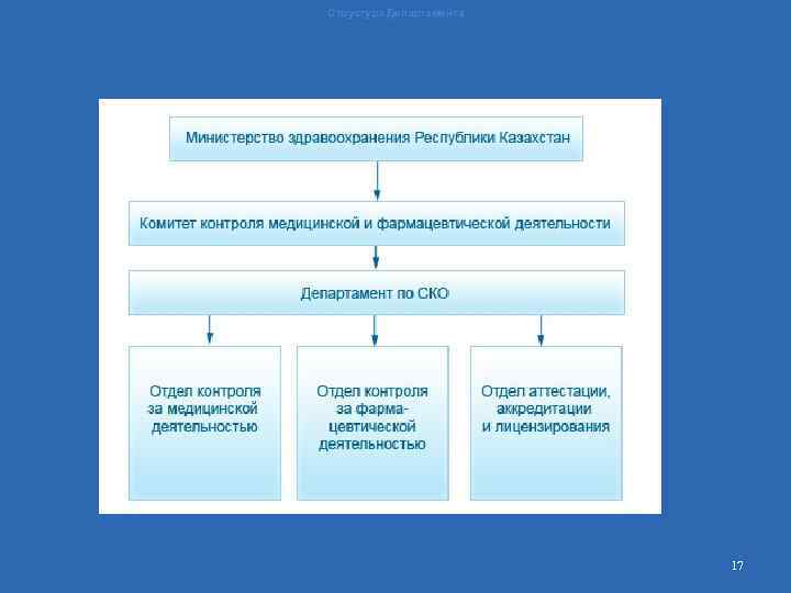 Структура Департамента 17 