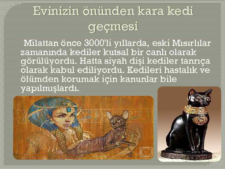 Evinizin önünden kara kedi geçmesi Milattan önce 3000'li yıllarda, eski Mısırlılar zamanında kediler kutsal