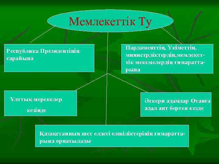 Мемлекеттік Ту Республика Президентінің сарайына Ұлттық мерекелер кезінде Парламенттің, Үкіметтің, министрліктердің, мемлекеттік мекемелердің ғимараттарына