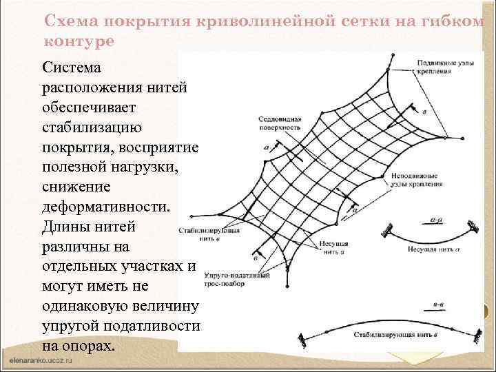 Схема покрытия криволинейной сетки на гибком контуре Система расположения нитей обеспечивает стабилизацию покрытия, восприятие