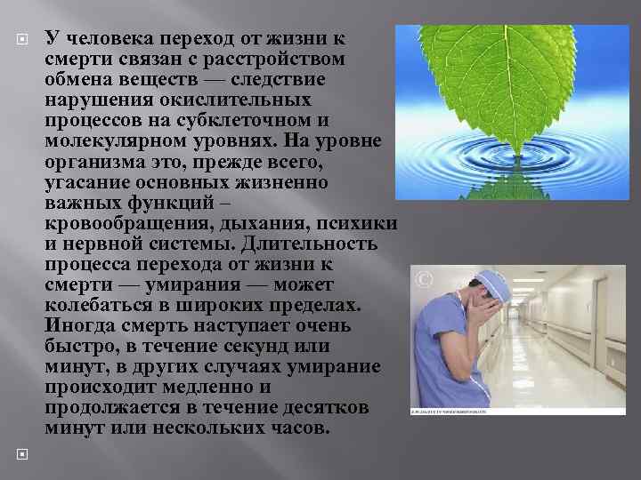  У человека переход от жизни к смерти связан с расстройством обмена веществ —